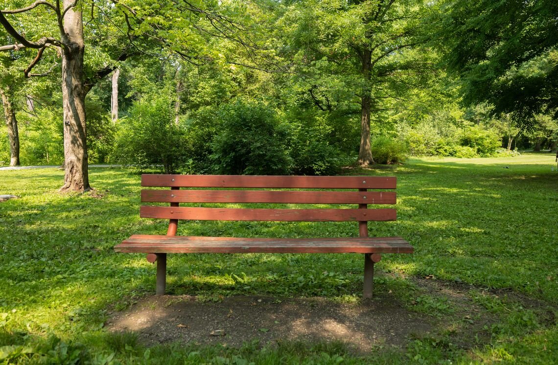 An empty wooden bench in a park, one of the 100 people listening meeting places